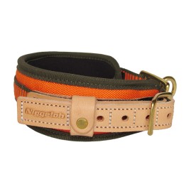 Tracking collar from...