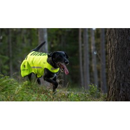 DOGTECH One Gen2...