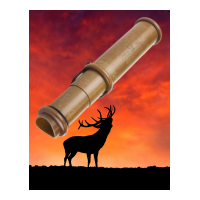 RED STAG CALLS
